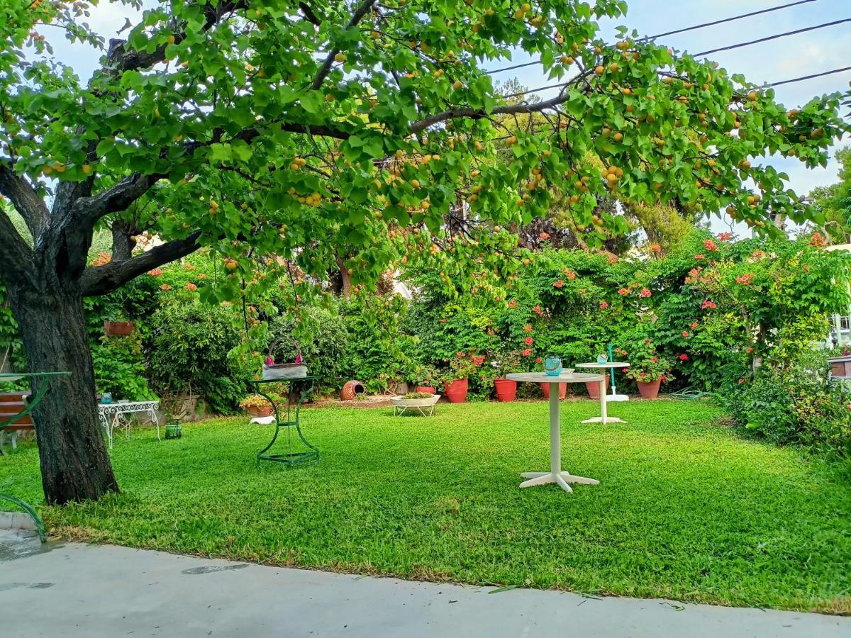 Agia Marina  Finikas Rooms المظهر الخارجي الصورة