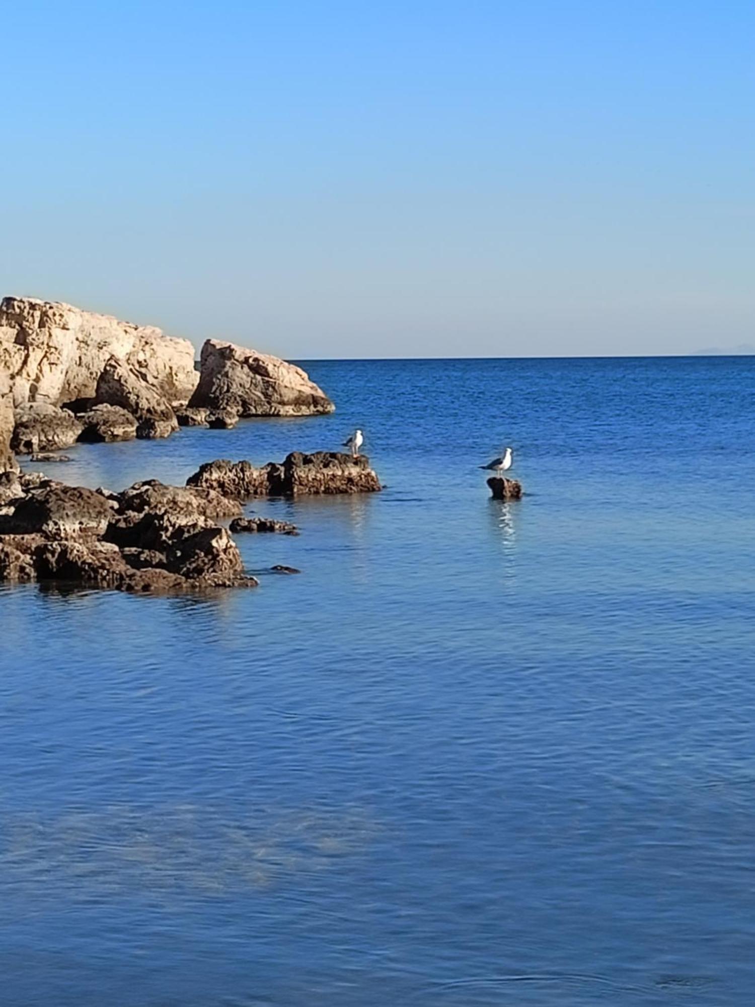 Agia Marina  Finikas Rooms المظهر الخارجي الصورة