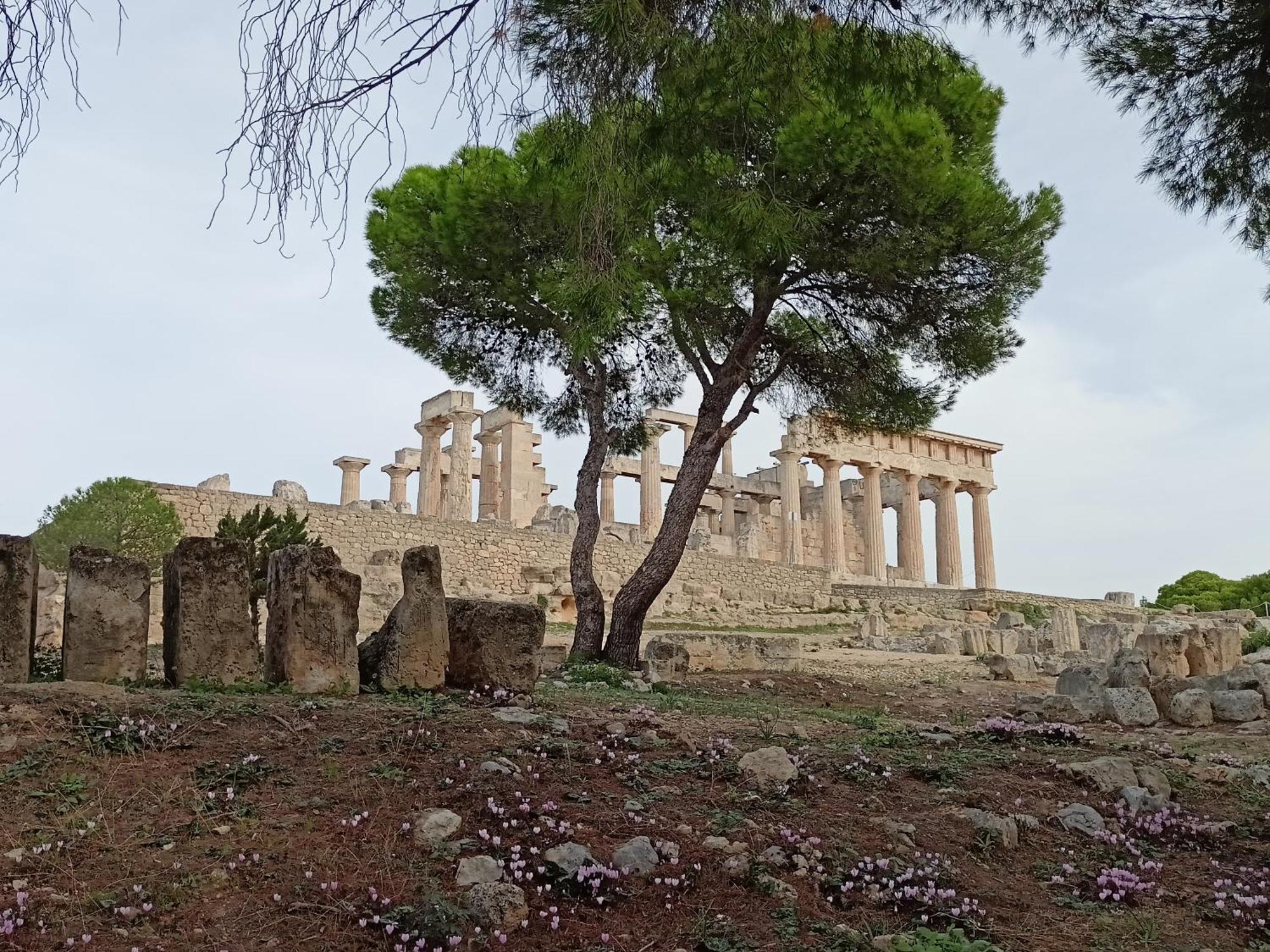 Agia Marina  Finikas Rooms المظهر الخارجي الصورة