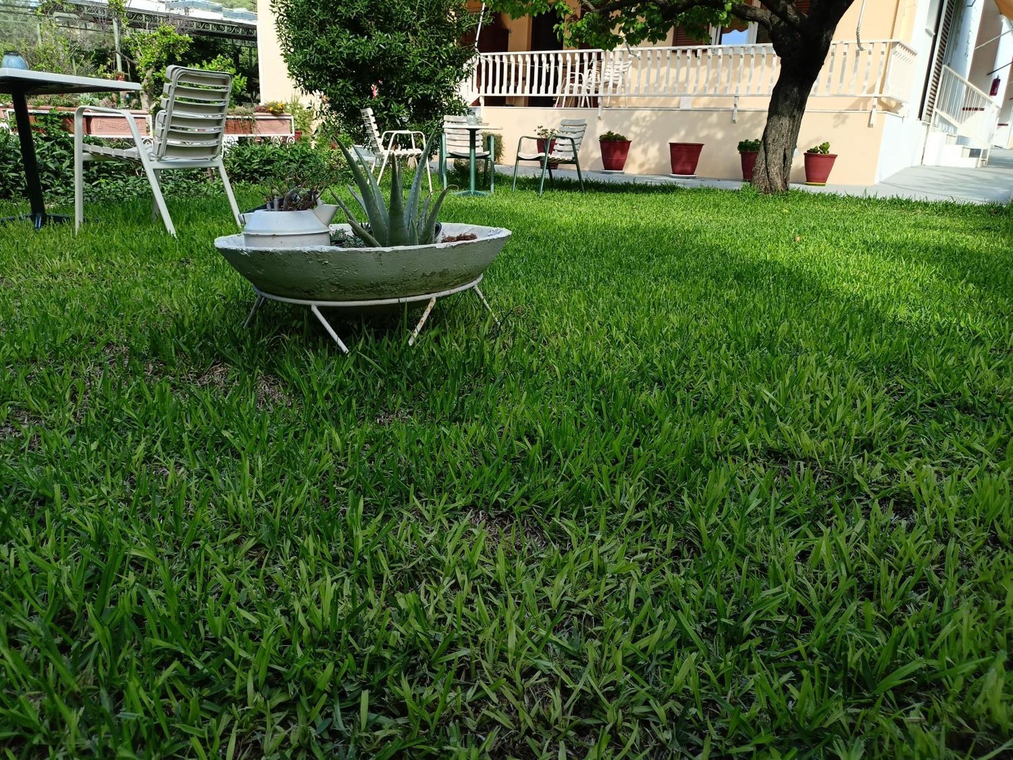 Agia Marina  Finikas Rooms المظهر الخارجي الصورة