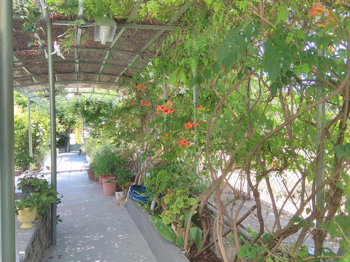 Agia Marina  Finikas Rooms المظهر الخارجي الصورة