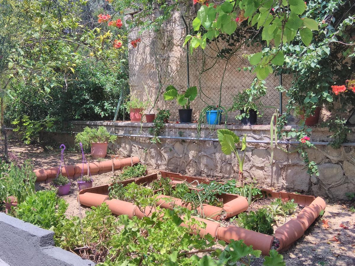 Agia Marina  Finikas Rooms المظهر الخارجي الصورة